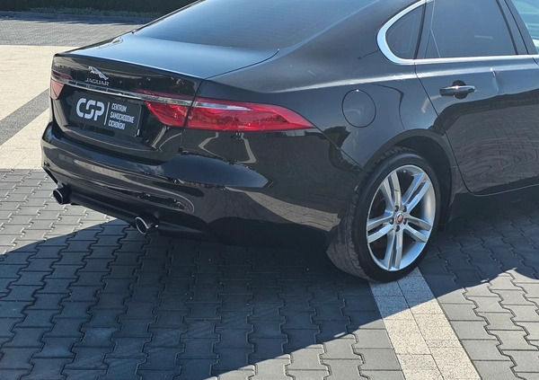 Jaguar XF cena 39900 przebieg: 91101, rok produkcji 2016 z Środa Śląska małe 781